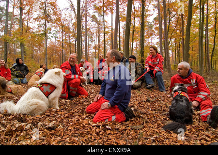 Haushund (Canis Lupus F. Familiaris), Einweisung der Trainer mit Such- und Rettungsmaßnahmen Hunde im herbstlichen Wald Stockfoto