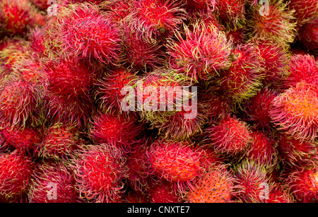 Rambutan, einem süßen asiatischen Obst auf einem Markt in Chinatown in New York City Stockfoto