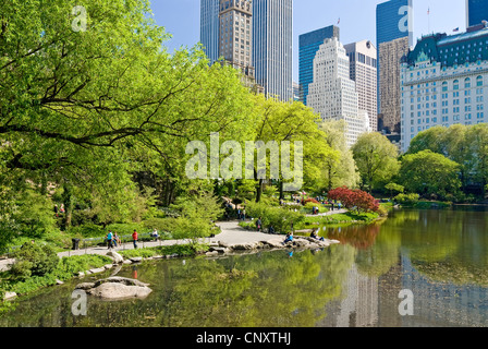 Central Park in New York City im Frühling mit dem Plaza Hotel. Stockfoto