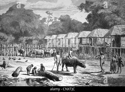 Country-Szene in Laos, historische Illustration, Holzschnitt, ca. 1888 Stockfoto