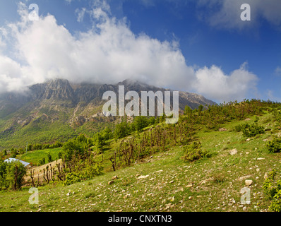 Gruppe von Bergen, die sich abzeichnenden hinter einem Abfall Buschlandschaft, Türkei, Adyaman, Karadut Stockfoto