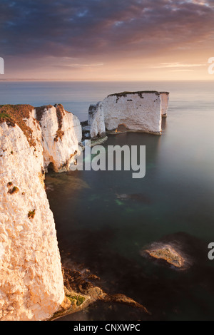 Old Harry Rocks bei Sonnenaufgang, Studland, Dorset, England. Frühling (April) 2012. Stockfoto