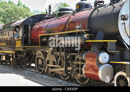 Motor 300, Texas State Railroad, Palästina, TX 120421 30327 Stockfoto