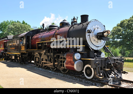 Motor 300, Texas State Railroad, Palästina, TX 120421 30328 Stockfoto