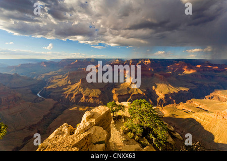 Blick vom Pima Point zum Colorado River und Grand Canyon, USA, Arizona, Grand Canyon National Park Stockfoto