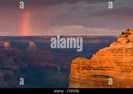 Blick vom Mohave Point auf Hopi Point und Felswand am südlichen Rand des Grand Canyon im Abendlicht, USA, Arizona, Grand Canyon National Park Stockfoto