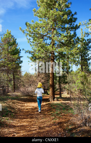 Vater zu Fuß über Waldweg mit Sohn auf Schultern Stockfoto