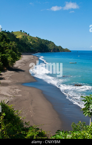 Blick von einem Hügel auf einer Karibik sand Beach, Saint Vincent und die Grenadinen, Petit Bordel Bay Stockfoto