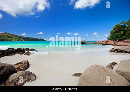 tropischer Strand mit weißem Sand, türkisfarbenes Wasser und blauer Himmel, Seychellen, Praslin Stockfoto