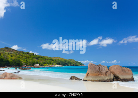 tropischer Strand mit weißem Sand, türkisfarbenes Wasser und blauer Himmel, Seychellen, Praslin Stockfoto