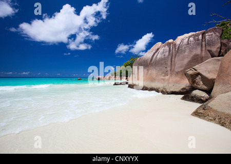 tropischer Strand mit weißem Sand, Granitfelsen und türkisfarbenes Wasser, Seychellen Stockfoto
