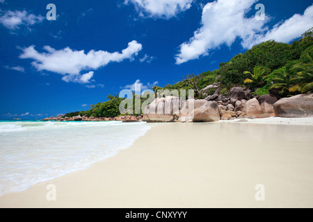 tropischer Strand mit weißem Sand, Granitfelsen und türkisfarbenes Wasser, Seychellen Stockfoto