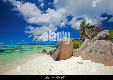 Strand mit weißem Sand, türkisfarbenes Wasser, Palmen und blauer Himmel, Seychellen Stockfoto