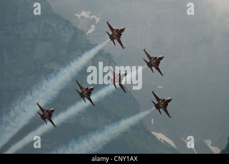 Patrouille Suisse mit Tiger jets während einer Airshow in Mollis 2009, Schweiz Stockfoto