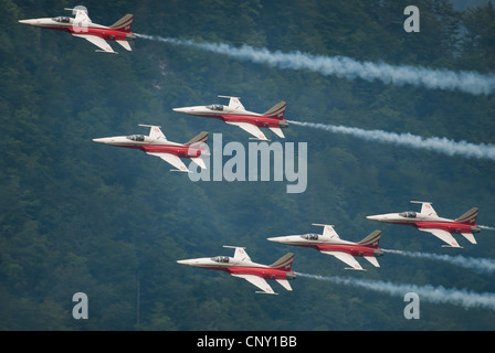 Patrouille Suisse mit Tiger jets während einer Airshow in Mollis 2009, Schweiz Stockfoto