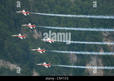 Patrouille Suisse mit Tiger jets während einer Airshow in Mollis 2009, Schweiz Stockfoto