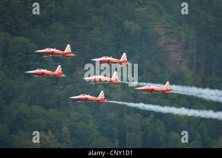 Patrouille Suisse mit Tiger jets während einer Airshow in Mollis 2009, Schweiz Stockfoto