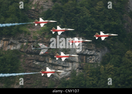 Patrouille Suisse mit Tiger und Hunter Jets während einer Airshow in Mollis 2009, Schweiz Stockfoto
