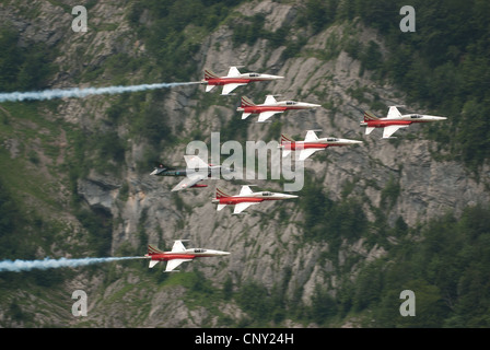 Patrouille Suisse mit Tiger und Hunter Jets während einer Airshow in Mollis 2009, Schweiz Stockfoto