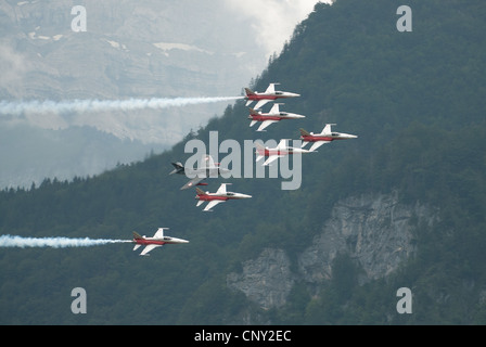 Patrouille Suisse mit Tiger und Hunter Jets während einer Airshow in Mollis 2009, Schweiz Stockfoto