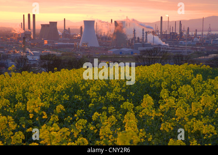 Grangemouth Ölraffinerie im Abendlicht, Großbritannien, Schottland, Edinburgh Stockfoto