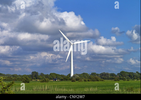 einzelne Windrad in der Nähe von Dorum, Deutschland, Niedersachsen Stockfoto