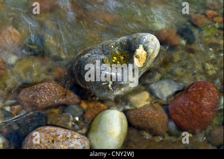 Steinen am Strand der Ostsee, Deutschland, Mecklenburg-Vorpommern, Ostsee Stockfoto