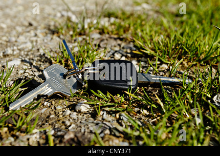 Tasten, die Verlegung in Rasen, Upper Bavaria Germany Stockfoto