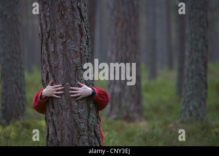 Föhre, Scots Kiefer (Pinus Sylvestris), Frau umarmt Scots Kiefer Baum, Großbritannien, Schottland, Cairngorms-Nationalpark Stockfoto