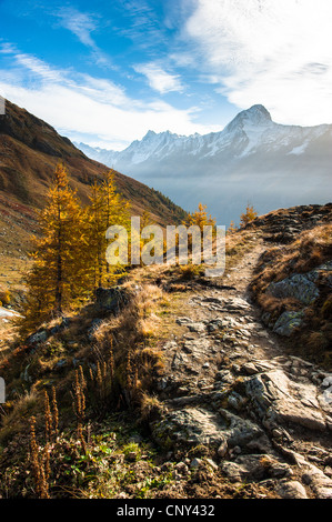 Bietschhorns Berggipfel im Herbst mit Wanderweg. Blick vom Laucheralp, Lötschental, Wallis, Schweiz Stockfoto