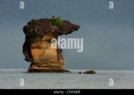 Rock-Formation, Sarawak Malaysia, Borneo, Bako Nationalpark Stockfoto