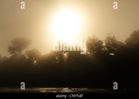 Sonnenaufgang über dem Ufer des Flusses Kinabatangan bewachsen mit tropischer Regenwald, Sabah, Malaysia, Borneo, Sungai Kinabatangan Stockfoto