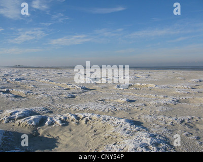 frostigen Nordsee Coas in Niedersaechsisches Wattenmeer Nationalpark, Bensersiel, Ostfriesland, Niedersachsen, Deutschland Stockfoto