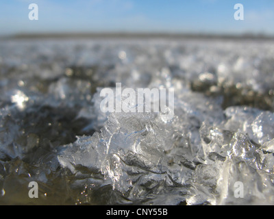 frostigen Nordsee Coas in Niedersaechsisches Wattenmeer Nationalpark, Bensersiel, Ostfriesland, Niedersachsen, Deutschland Stockfoto