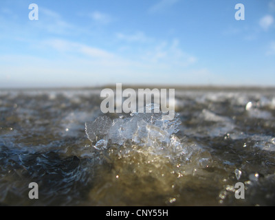 frostigen Nordsee Coas in Niedersaechsisches Wattenmeer Nationalpark, Bensersiel, Ostfriesland, Niedersachsen, Deutschland Stockfoto