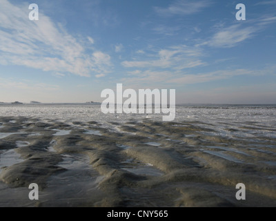 frostigen Nordsee Coas in Niedersaechsisches Wattenmeer Nationalpark, Bensersiel, Ostfriesland, Niedersachsen, Deutschland Stockfoto