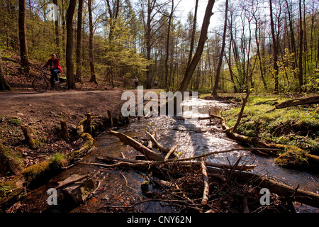 Biker-Borbach-Tal im Frühjahr, Witten, Ruhrgebiet, Nordrhein-Westfalen, Deutschland Stockfoto