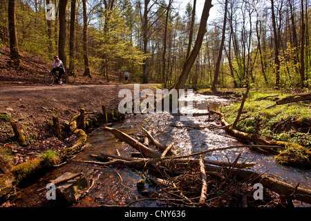 Biker ein Jogger Borbach Tal im Frühjahr, Witten, Ruhrgebiet, Nordrhein-Westfalen, Deutschland Stockfoto