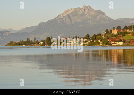 sommerlicher Blick über den Vierwaldstättersee am Berg Pilatus, Schweiz, Berner Alpen, Küssnacht Stockfoto