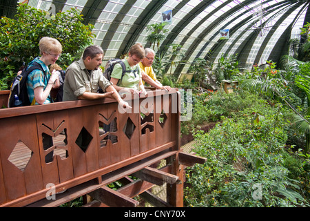 Schmetterlingsgärten im Selvatura Adventure Park, Monteverde, Costa Rica. Stockfoto