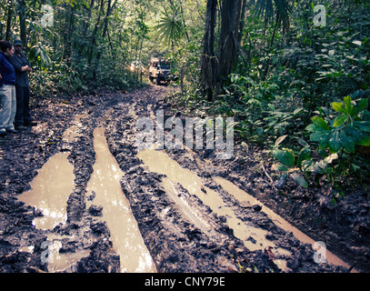 Affe Flusspfad, Belize Stockfoto