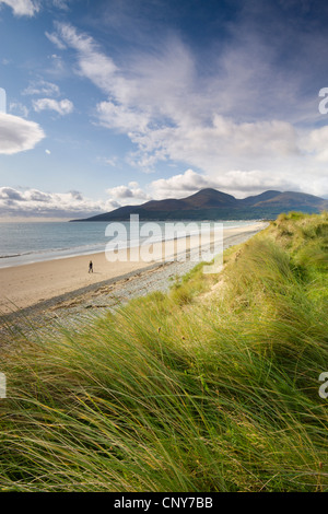 Person allein zu Fuß entlang Dundrum Bay, County Down, Nordirland Stockfoto