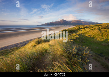 Sanddünen am Murlough neben Dundrum Bay, mit die Mourne Mountains im Hintergrund, County Down, Nordirland Stockfoto