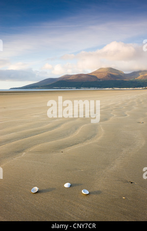 Muscheln auf Dundrum Bucht, mit Blick auf die Berge von Mourne, County Down, Nordirland Stockfoto