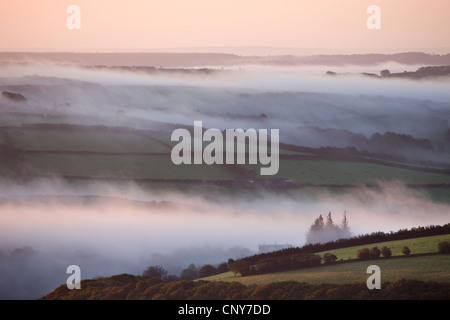 Am frühen Morgen Nebel über der Landschaft Exmoor, gesehen von Dunkery Hil, Exmoor National Park, Somerset, England Stockfoto