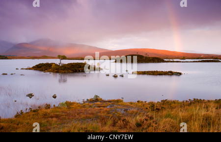 Regenbogen im stürmischen Himmel über man Na H-Achlaise auf Rannoch Moor in Herbst, Highlands, Schottland Stockfoto