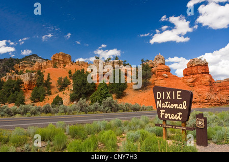 Dixie National Forest-Zeichen neben einer Straße in der Nähe von roten Felsformationen des roten Canyon, USA, Utah, Red Canyon, Dixie National Forest Stockfoto