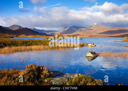 Man keine Achlaise auf Rannoch Moor in den Herbst, Highlands, Schottland Stockfoto