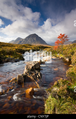 Ein Strom fließt durch eine herbstliche Rannoch Moor in Richtung Buachaille Etive Mor, Highlands, Schottland Stockfoto