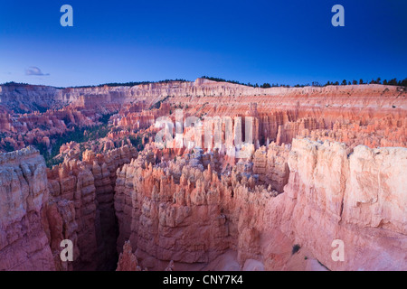 Bryce Canyon vom Sonnenaufgang Punkt kurz vor Sonnenaufgang an der Wall Street Cayon, USA, Utah, Bryce-Canyon-Nationalpark, Colorado-Plateau anzeigen Stockfoto